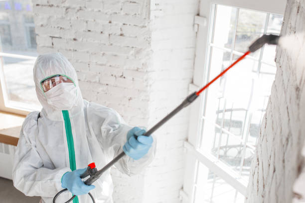 Best Mold Removal for HVAC Installations  in Rio Verde, AZ