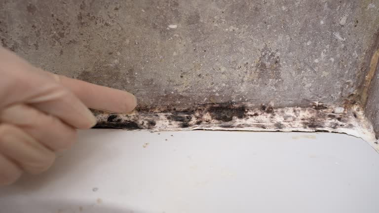 Best Residential Mold Inspection & Testing  in Rio Verde, AZ